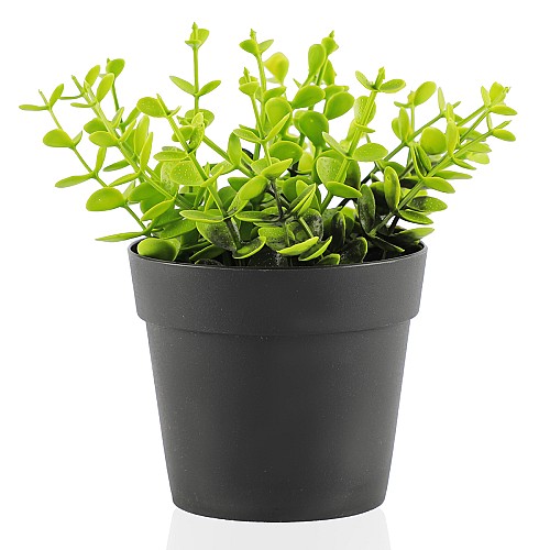 Plante Décorative Artificielle À Petites Feuilles en Pot Noir