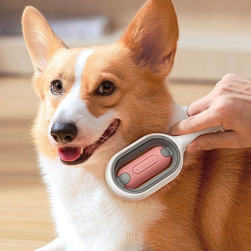 Brosse anti-poils pour chat et chien