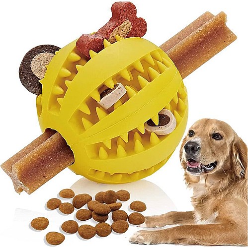 Distributeur de Croquettes pour Chien