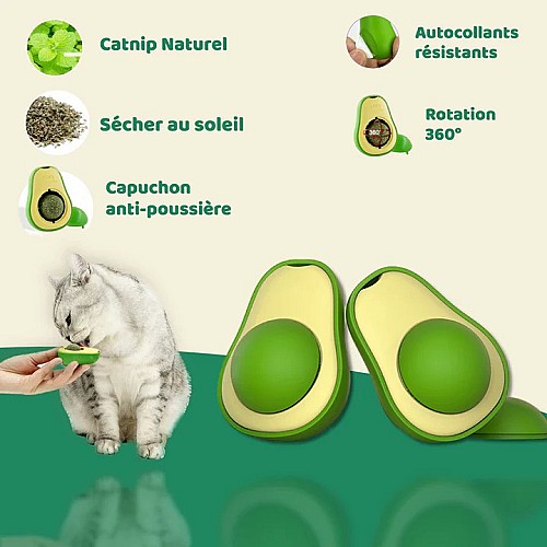 Jouet Avocat pour Chat