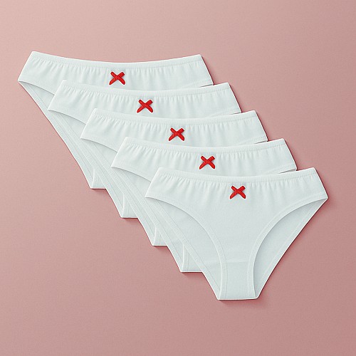 Pack de 5 culotte en coton